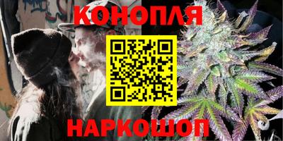 стаф Шахты